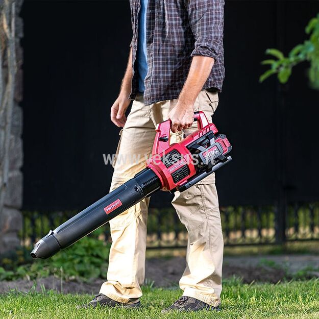 WORCRAFT Akumuliatorinis lapų pūstuvas 40V (20V+20V) 2x6.0Ah 5